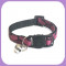 Collar-102